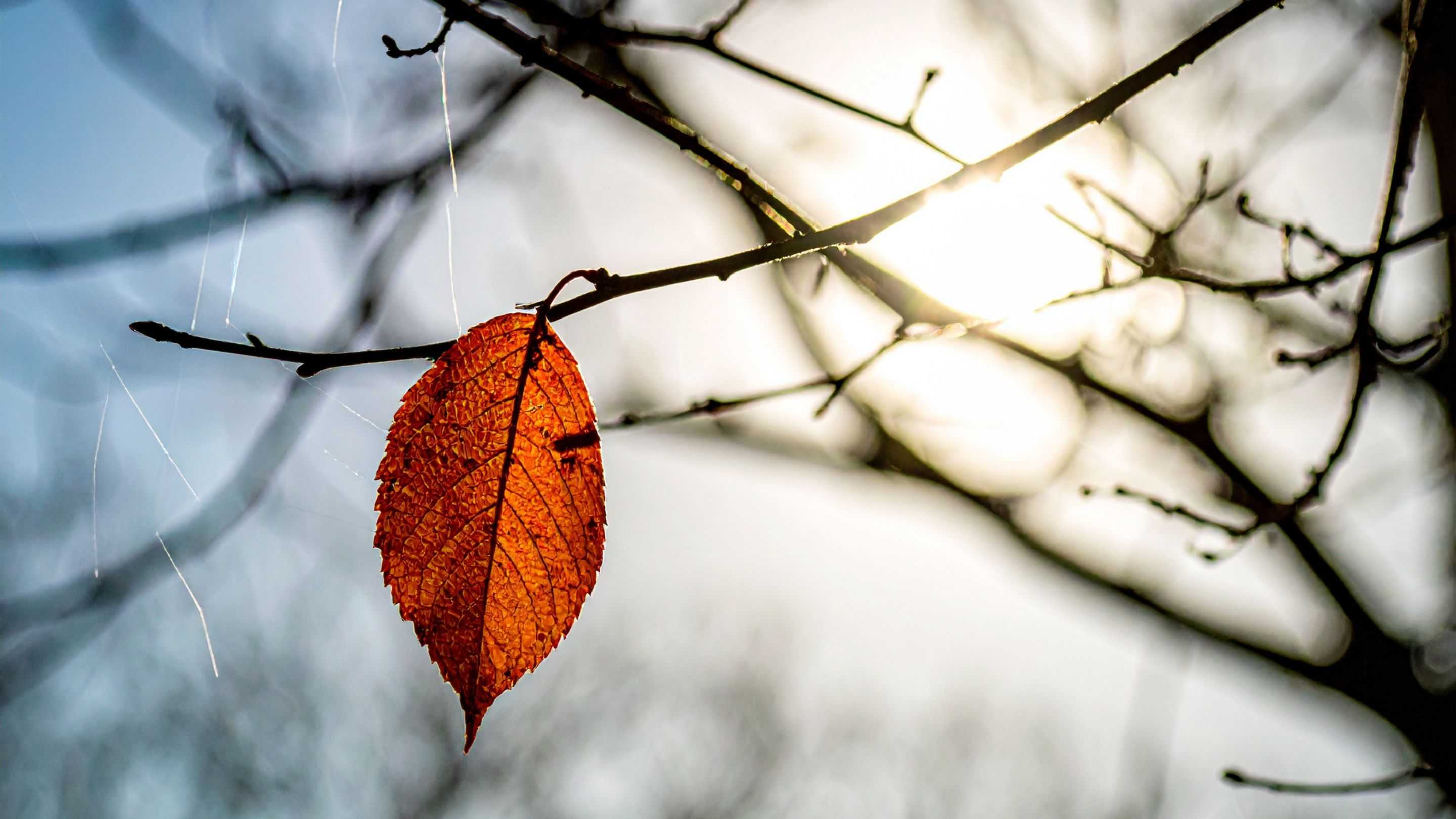 Kemarau 2026 Diperkirakan Lebih Kering, Ini Penjelasan BMKG